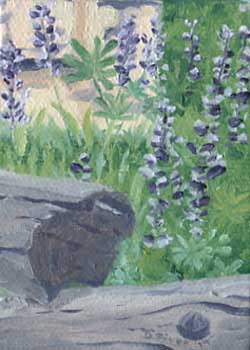 "Lupines By The Lamp Post" by Daniel Sivek, Stevens Point WI - Oil